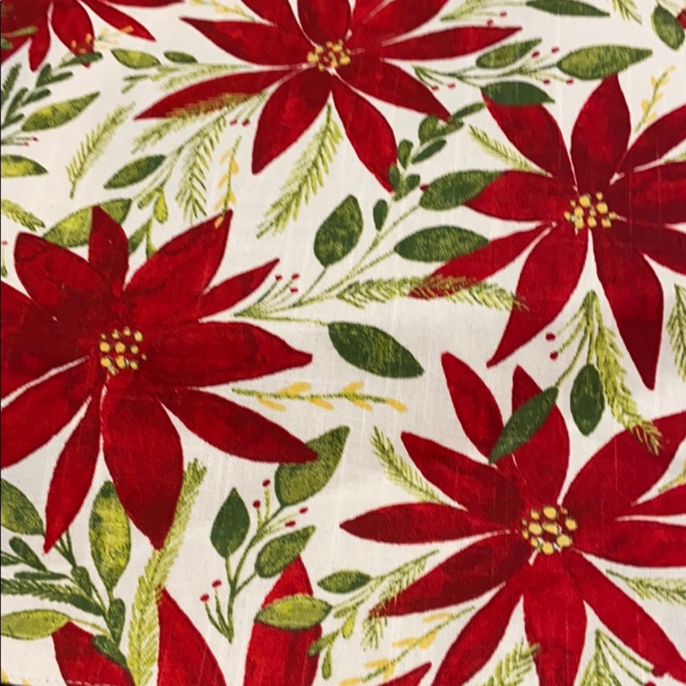 Poinsettia placements, 2 only